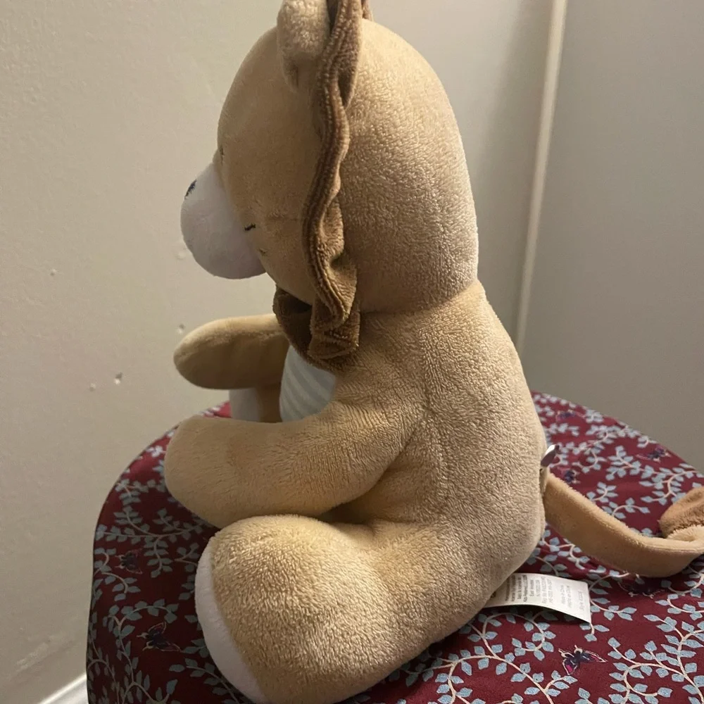 Carters soft lion